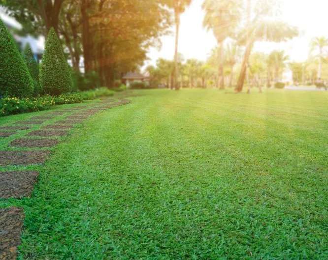 Expert yard cleanup service in South Salt Lake, UT - Jonathon's Landscaping