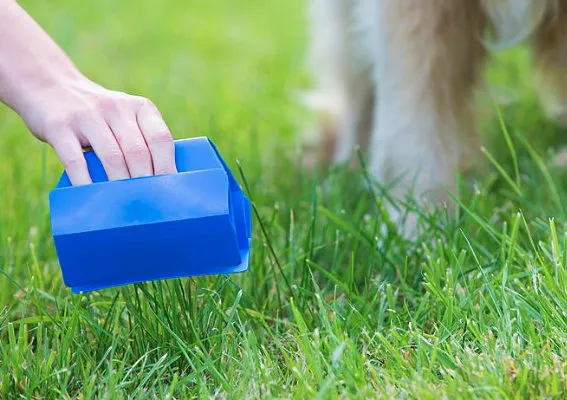 Local residential landscaping experts serving South Salt Lake, UT - Jonathon's Landscaping