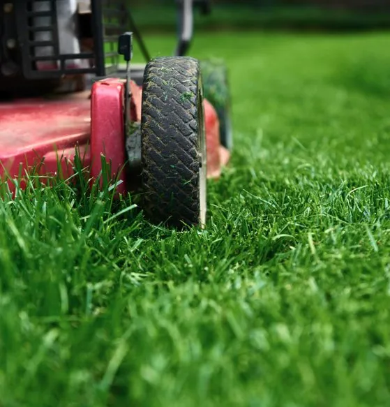 Reliable yard maintenance experts serving South Salt Lake, UT - Jonathon's Landscaping