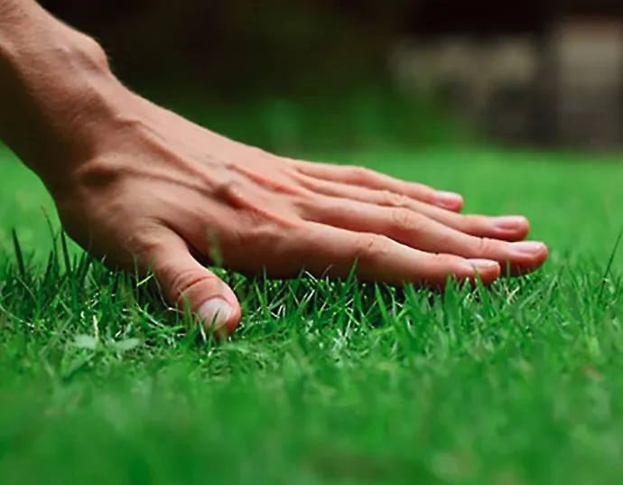 Local residential landscaping for year-round maintenance across South Salt Lake, UT - Jonathon's Landscaping