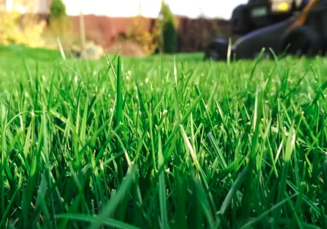 Professional lawn care service for beautiful yards in South Salt Lake, UT by Jonathon's Landscaping