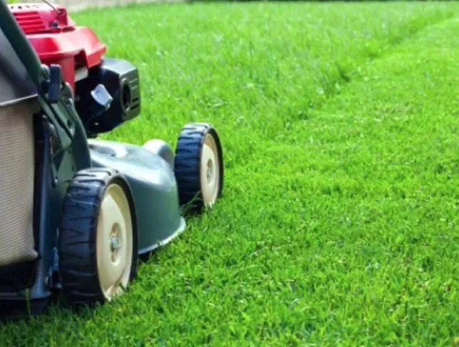 Local outdoor landscaping for homes across South Salt Lake, UT - Jonathon's Landscaping