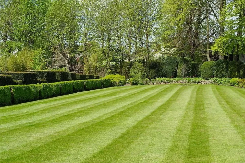 Affordable lawn mowing service experts serving Middle Valley, TN - Jonboys Lawncare