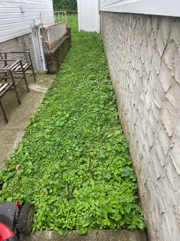 Professional garden landscaping experts serving Staten Island, NY - Jones & Son Mowing