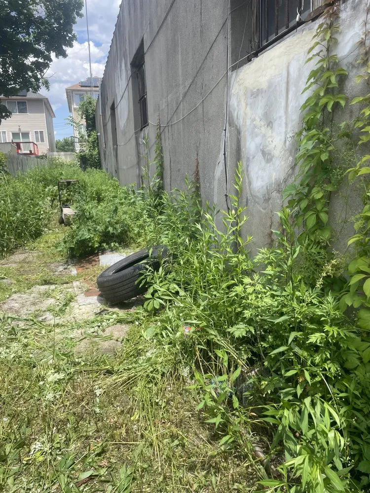 Reliable yard maintenance experts serving Staten Island, NY - Jones & Son Mowing