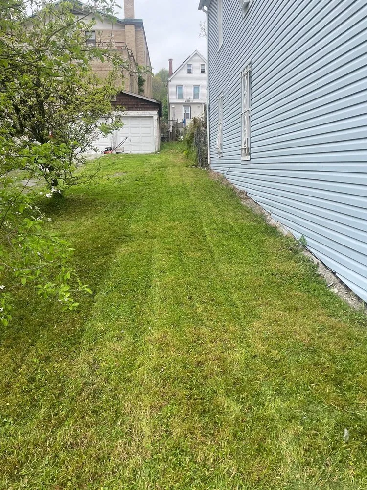 Trusted lawn care service in Staten Island, NY by Jones & Son Mowing