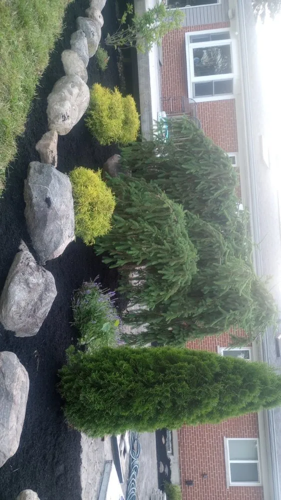 Top-rated yard maintenance for residential properties in Warsaw, KY by Jones Complete Construction