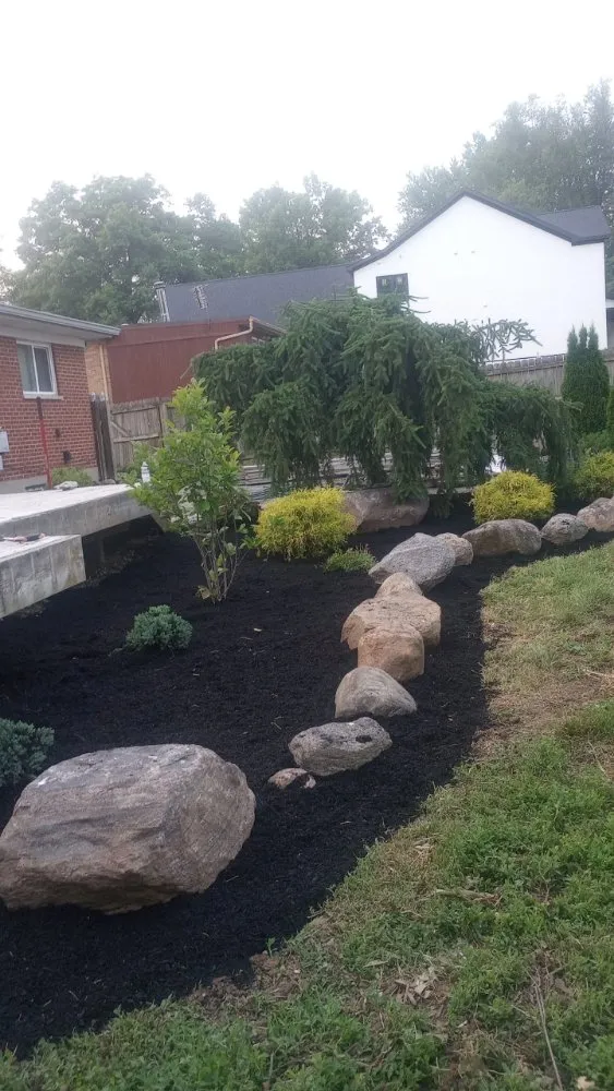 Professional yard cleanup service in Warsaw, KY - Jones Complete Construction