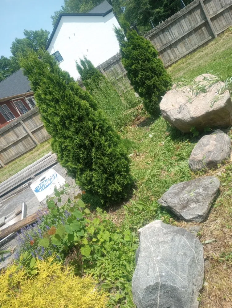 Local landscape installation experts serving Warsaw, KY - Jones Complete Construction