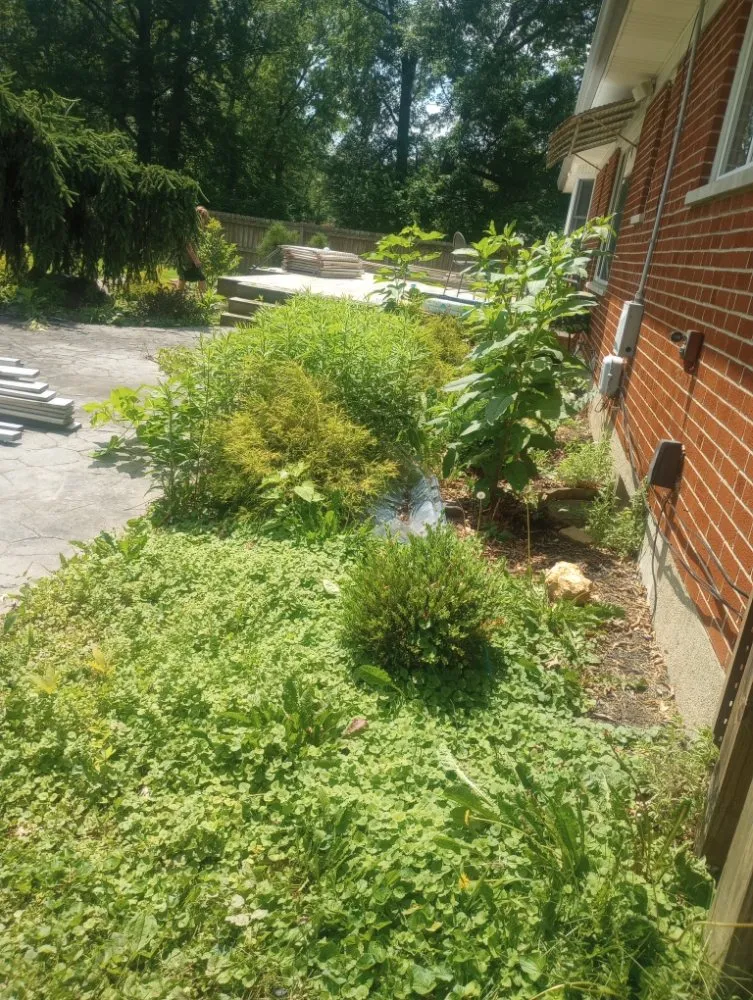 Expert yard maintenance for homes across Warsaw, KY - Jones Complete Construction