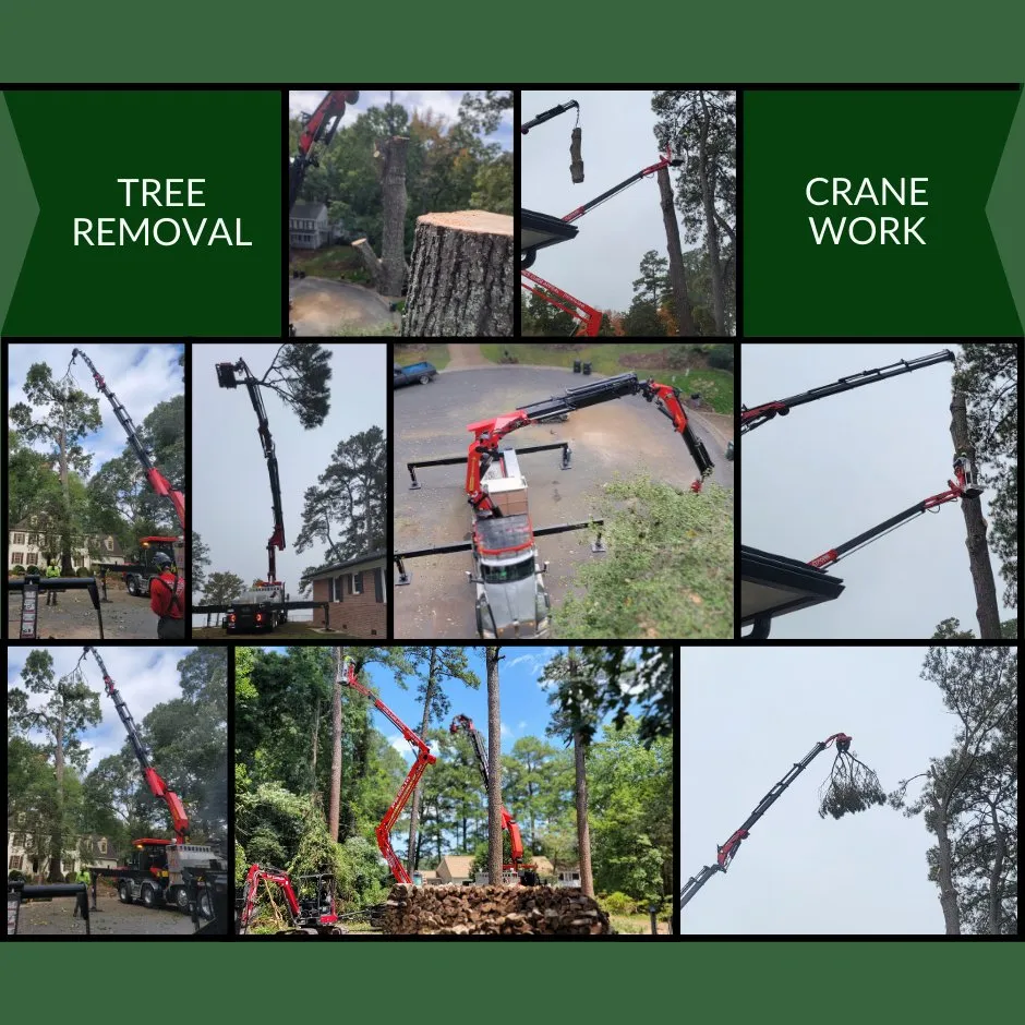 Custom residential landscaping for beautiful yards across Smithfield, VA - Jones Curb Appeal