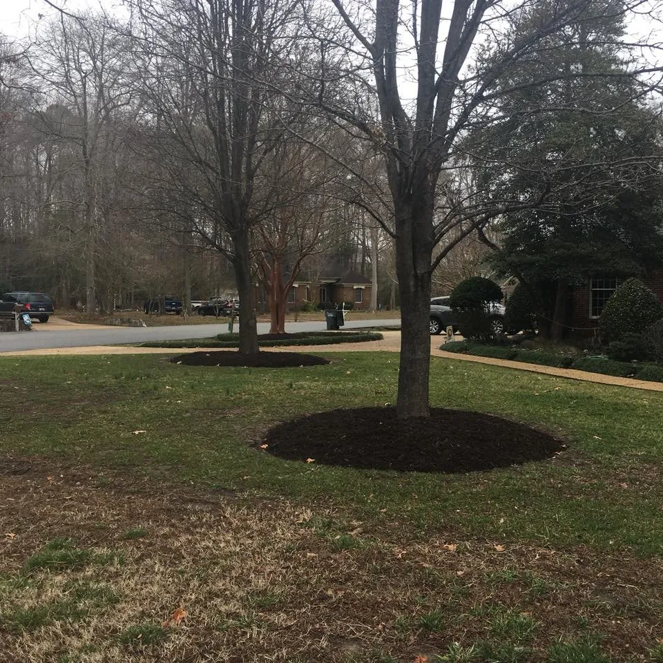 Expert landscape installation experts serving Smithfield, VA - Jones Curb Appeal