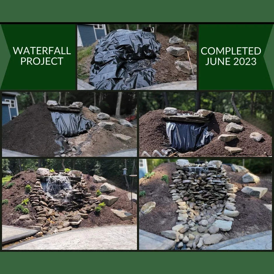 Professional yard maintenance in Smithfield, VA - Jones Curb Appeal