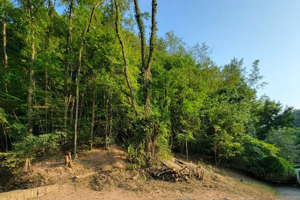 Custom yard maintenance with custom design across Dunbar, WV - Jones Empire