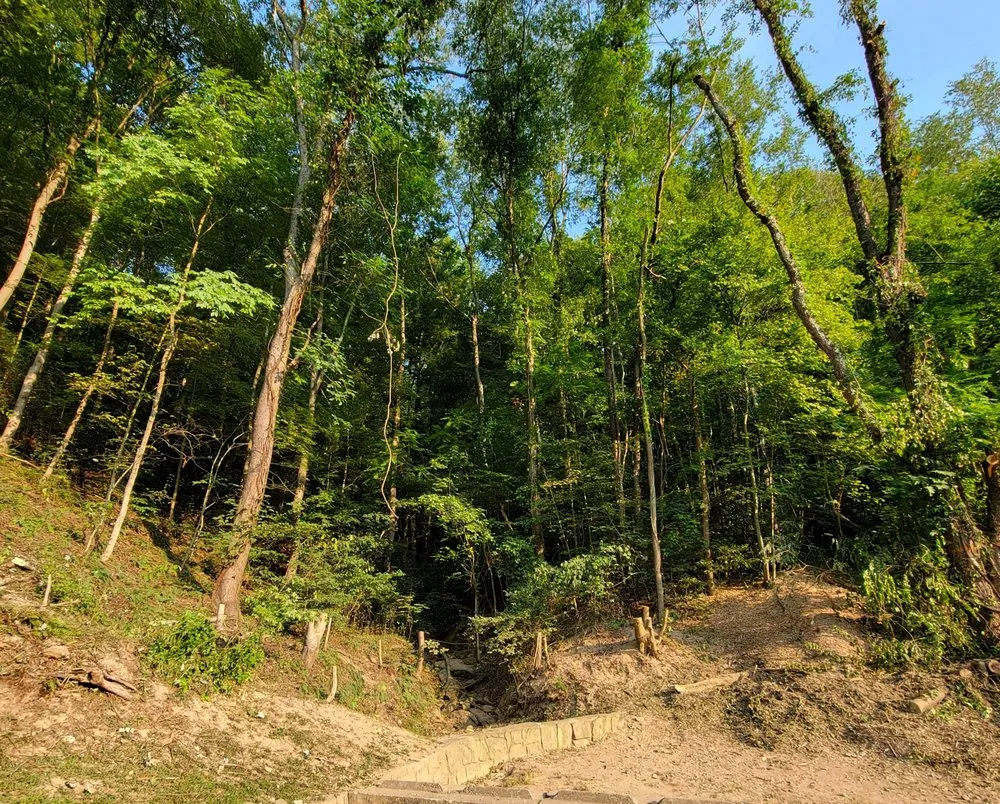 Custom lawn care service for residential properties across Dunbar, WV - Jones Empire