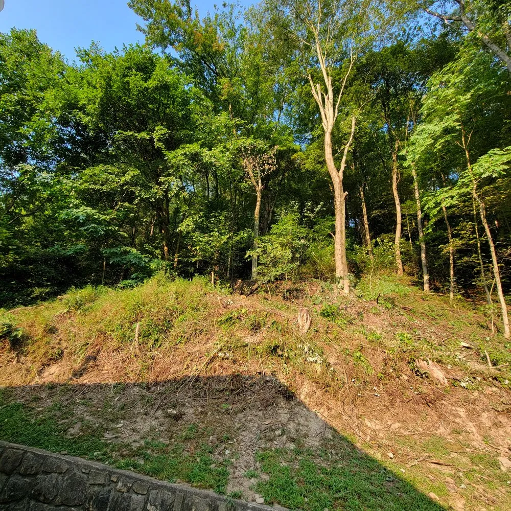 Affordable landscape installation for outdoor upgrades in Dunbar, WV by Jones Empire