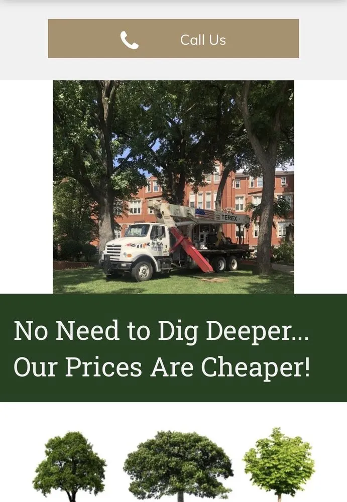 Expert landscape design for year-round maintenance across Dunbar, WV - Jones Empire