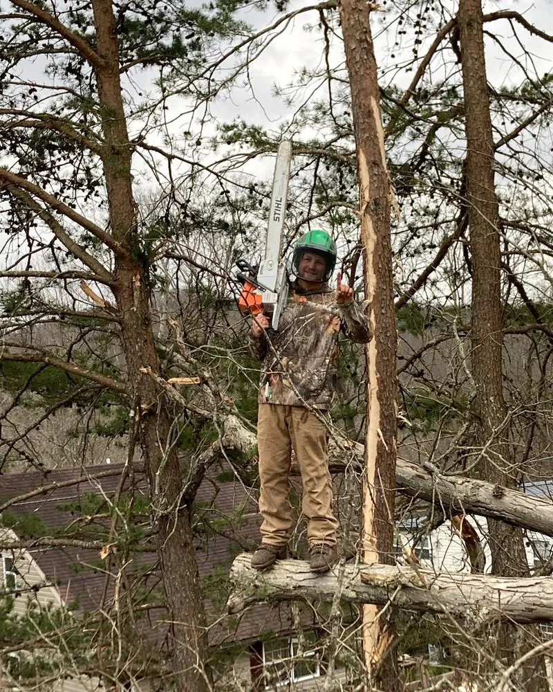 Reliable residential landscaping in Dunbar, WV by Jones Empire