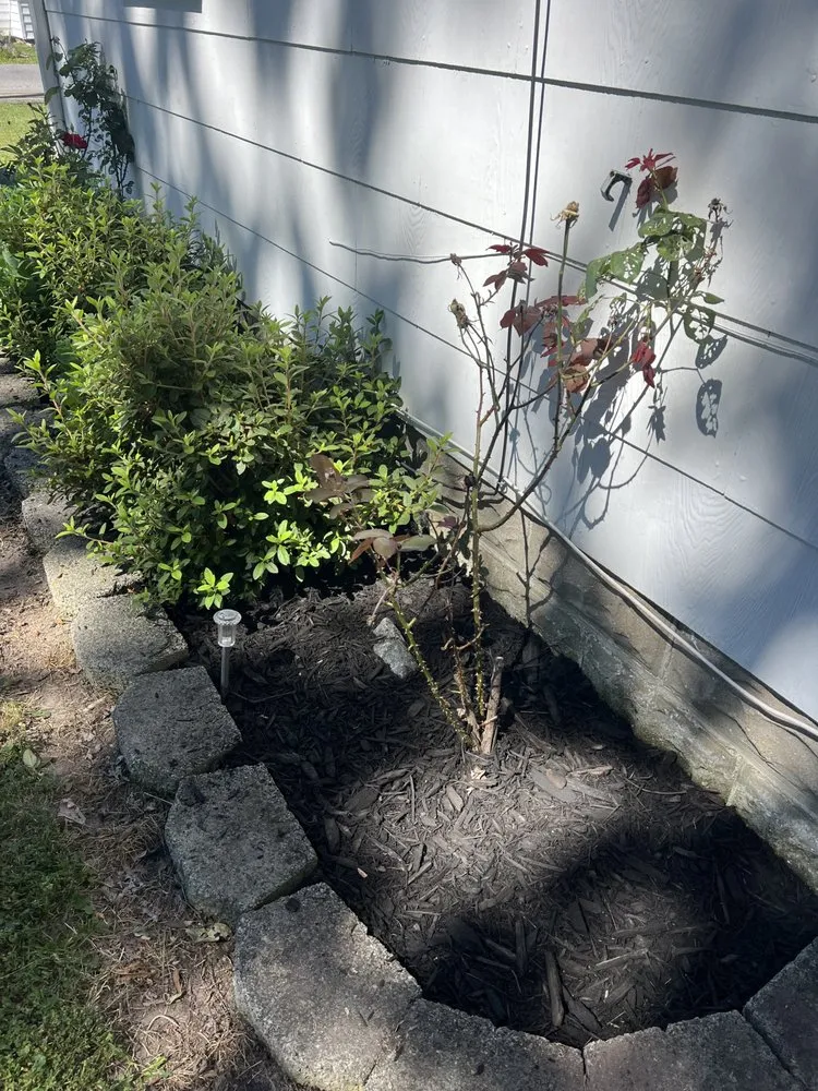 Expert landscaping services for residential properties in East New Market, MD by Jones Exteriors
