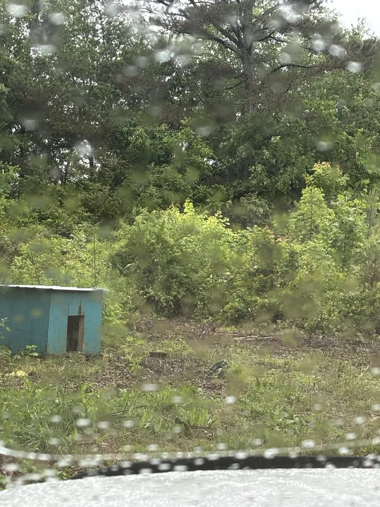 Professional outdoor landscaping experts serving Loretto, TN - Jones Haulin