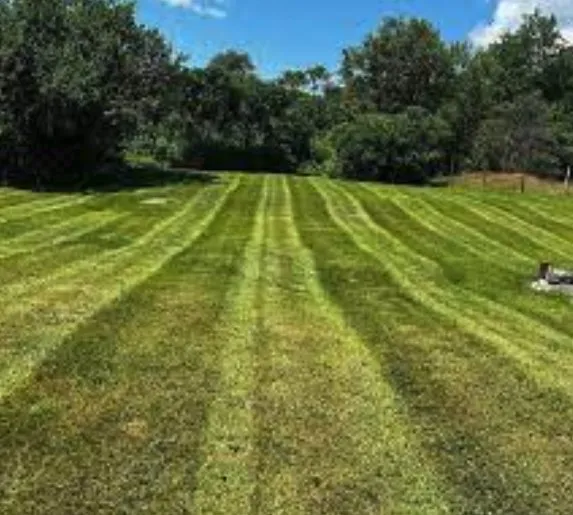 Expert yard maintenance in Youngsville, NC - Jones Kurtz Lawn Care