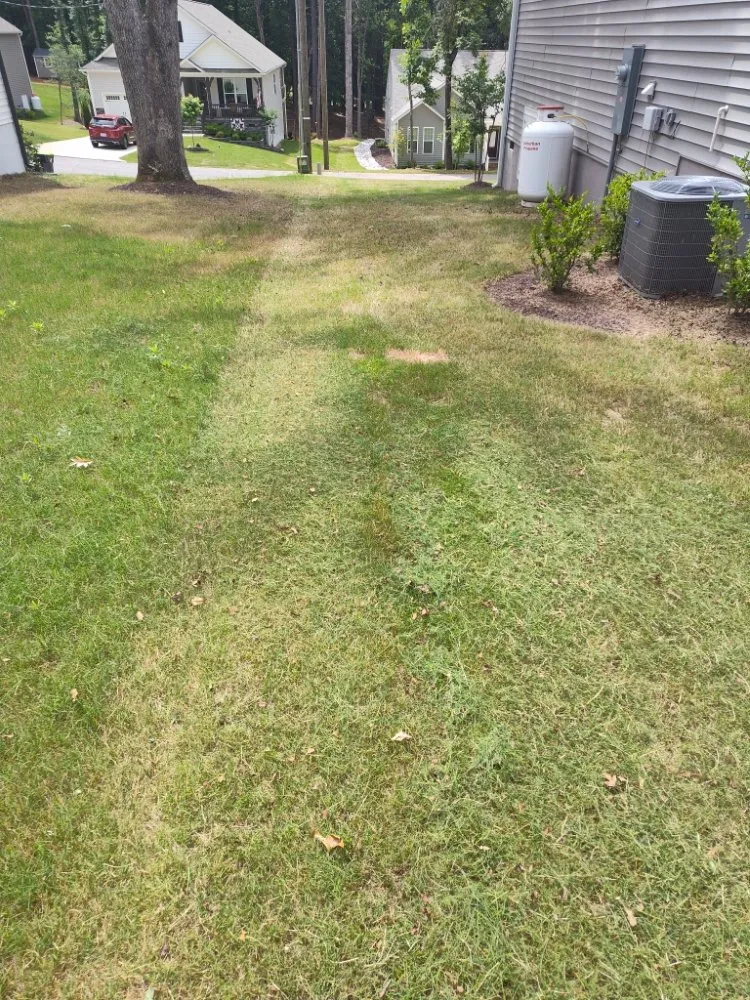 Local lawn care service for residential properties across Youngsville, NC - Jones Kurtz Lawn Care