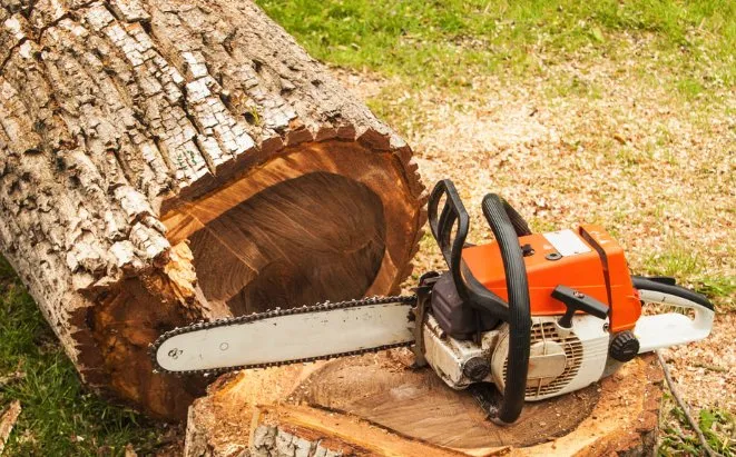 Top-rated landscaping services in Youngsville, NC - Jones Kurtz Lawn Care