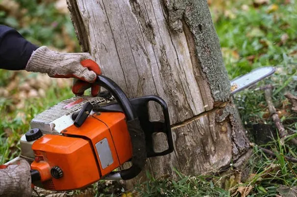 Custom outdoor landscaping in Youngsville, NC - Jones Kurtz Lawn Care