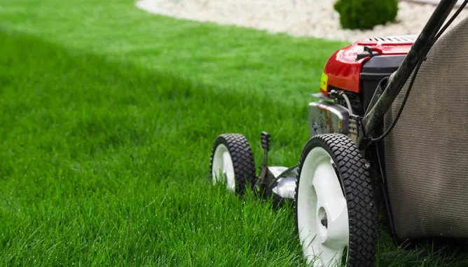 Affordable residential landscaping experts serving Youngsville, NC - Jones Kurtz Lawn Care