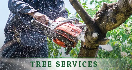 Custom lawn care service experts serving Youngsville, NC - Jones Kurtz Lawn Care