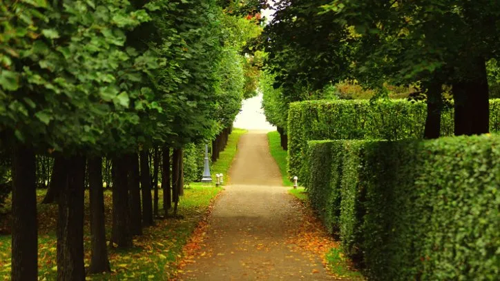 Custom landscape installation in Youngsville, NC - Jones Kurtz Lawn Care