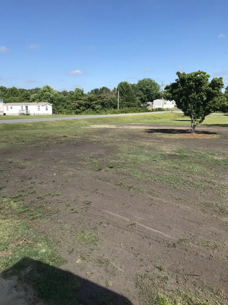 Trusted outdoor landscaping experts serving Trenton, NC - Jones Land Maintenance