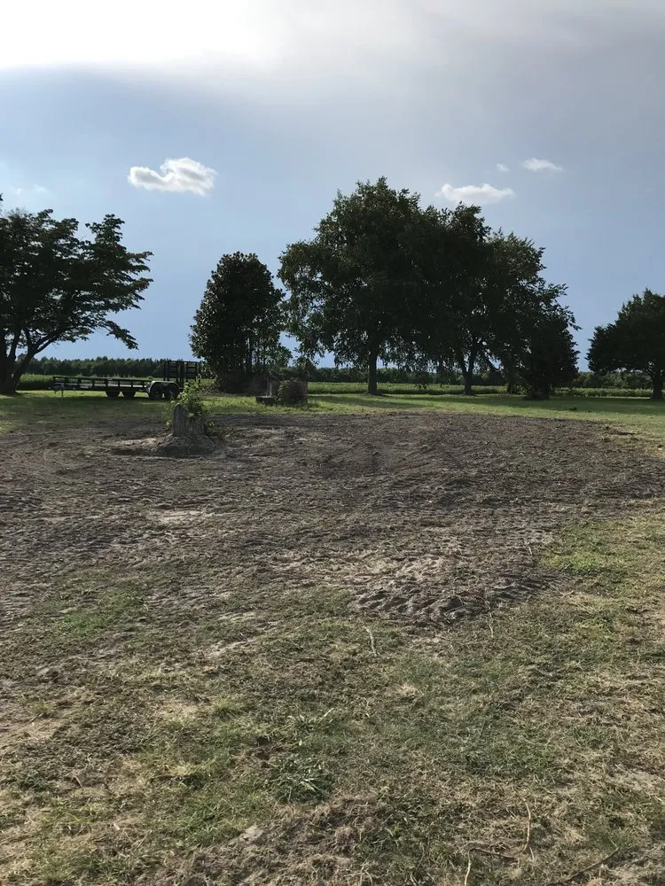 Expert landscape installation experts serving Trenton, NC - Jones Land Maintenance