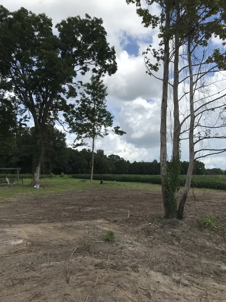 Professional lawn care service for beautiful yards across Trenton, NC - Jones Land Maintenance