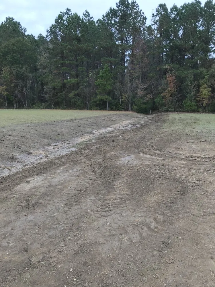Reliable residential landscaping with custom design in Trenton, NC by Jones Land Maintenance