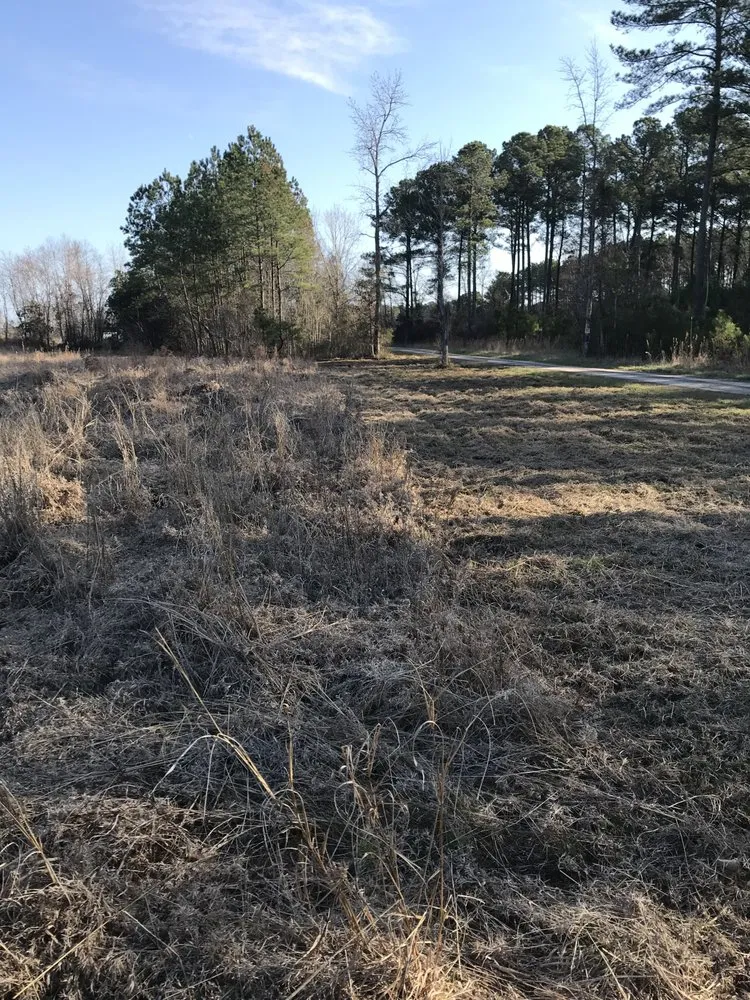 Top-rated landscape installation near you across Trenton, NC - Jones Land Maintenance