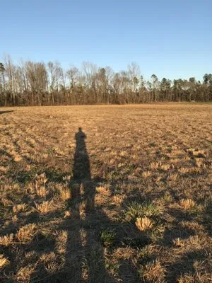 Jones Land Maintenance