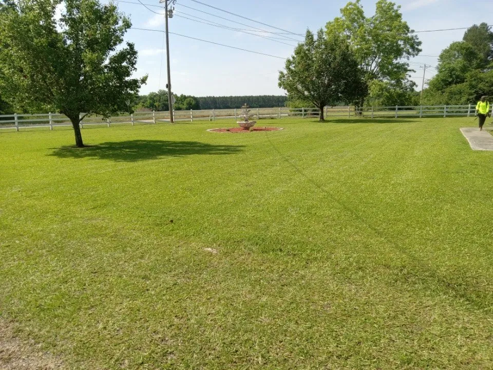 Reliable yard cleanup service in Gadsden, SC - Jones Landscape