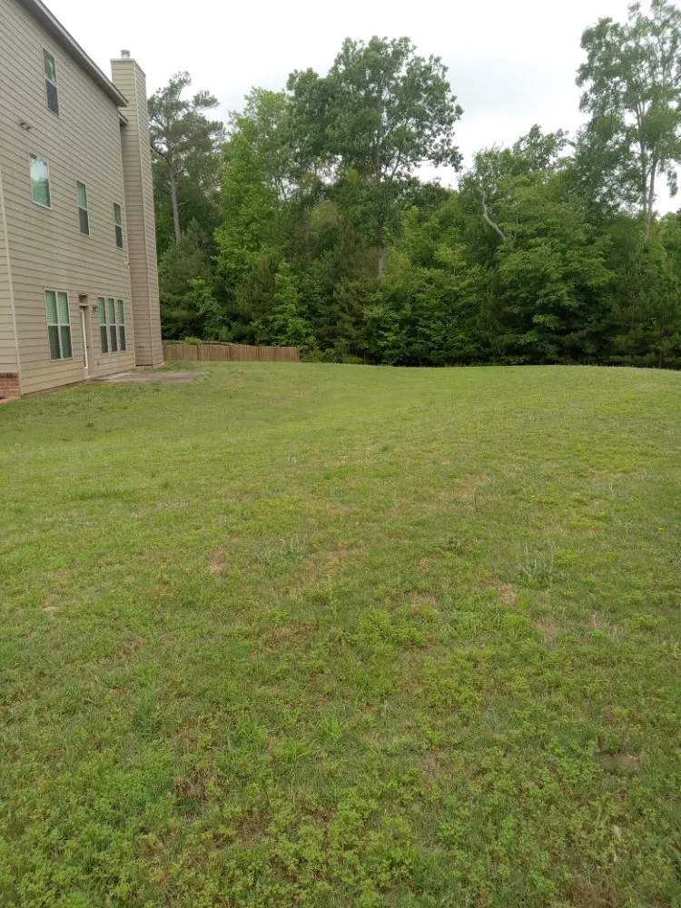 Reliable yard maintenance in Gadsden, SC by Jones Landscape