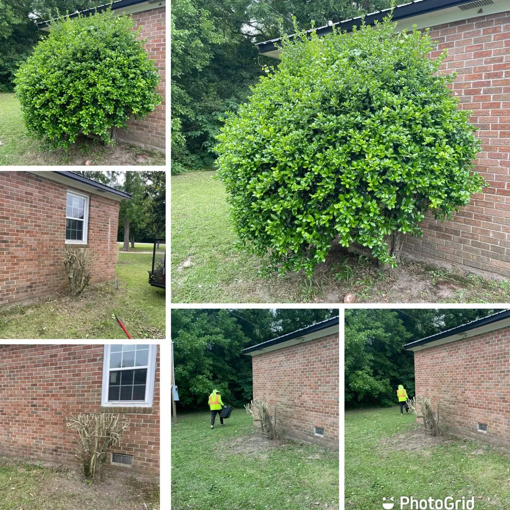 Expert yard cleanup service for outdoor upgrades across Gadsden, SC - Jones Landscape