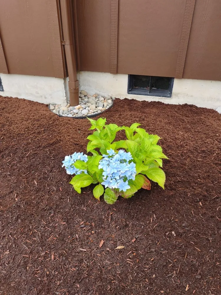 Reliable lawn mowing service for year-round maintenance across Ridgefield, WA - Jones Landscape