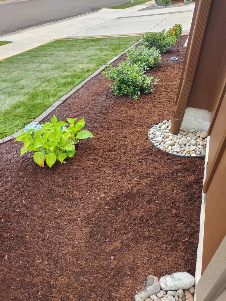 Expert yard cleanup service in Ridgefield, WA - Jones Landscape