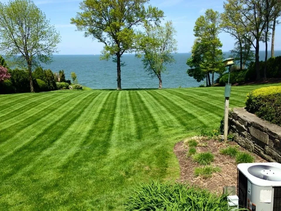 Top-rated outdoor landscaping with custom design in Berea, OH by Jones Landscapes