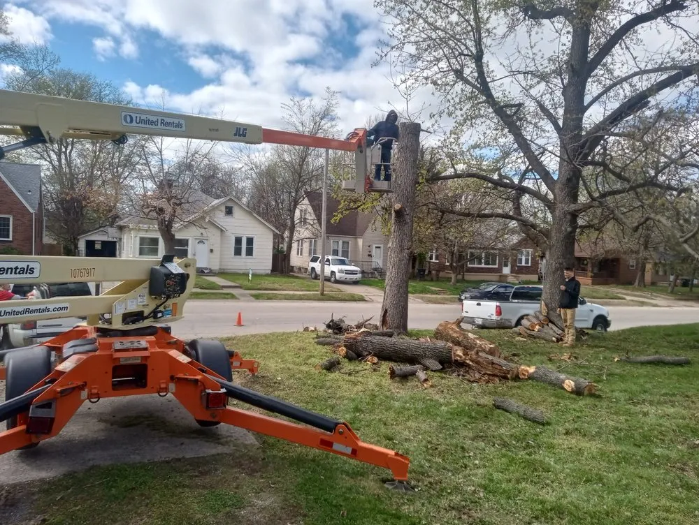 Professional lawn mowing service for year-round maintenance in Oak Ridge, MO by Jones Landscaping and Handyman Services
