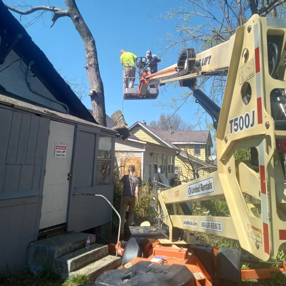 Trusted residential landscaping in Oak Ridge, MO - Jones Landscaping and Handyman Services
