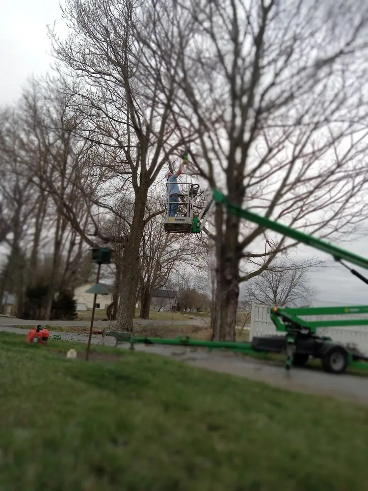 Expert yard maintenance with custom design in Oak Ridge, MO by Jones Landscaping and Handyman Services