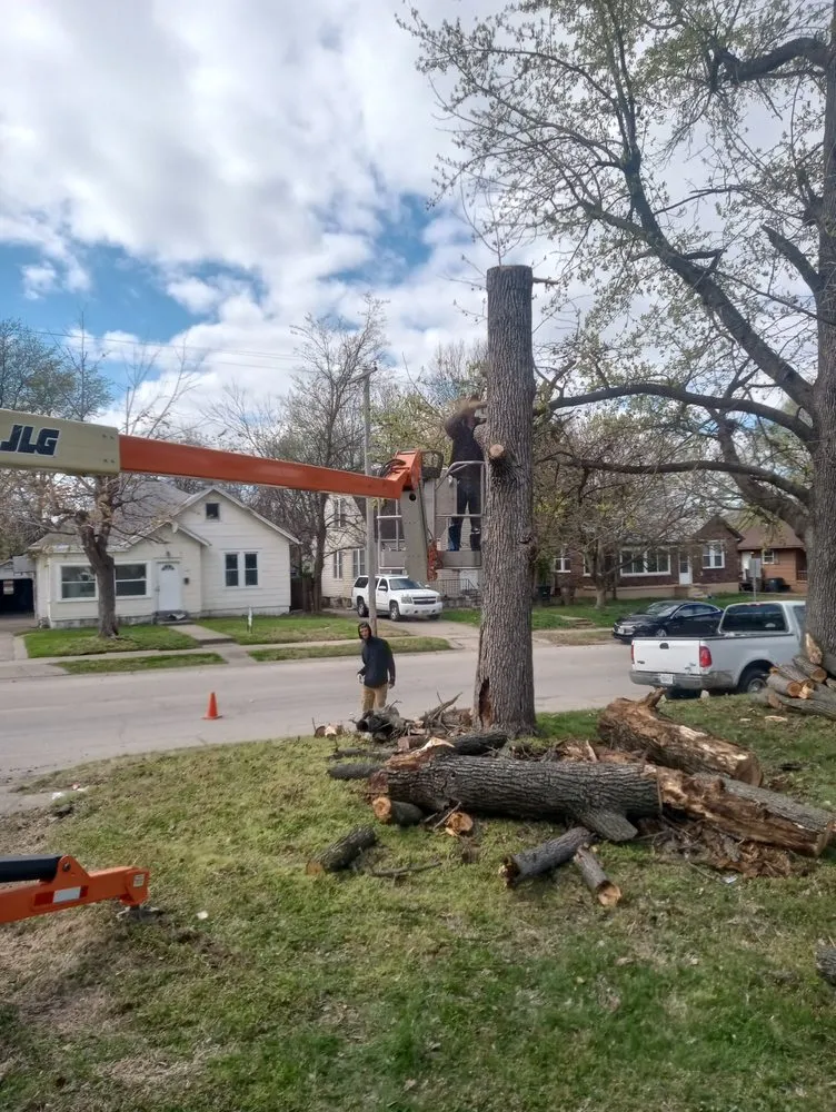 Affordable yard maintenance in Oak Ridge, MO by Jones Landscaping and Handyman Services
