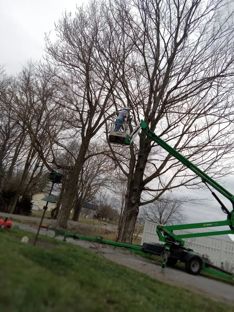 Professional landscaping services experts serving Oak Ridge, MO - Jones Landscaping and Handyman Services