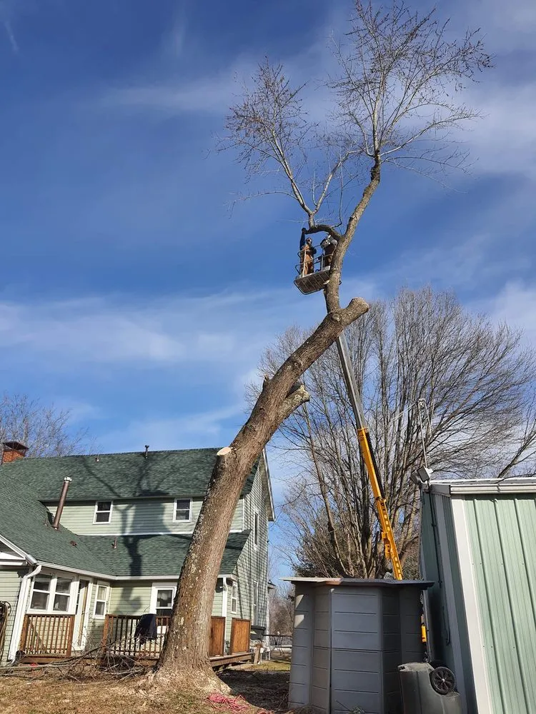 Top-rated yard cleanup service experts serving Oak Ridge, MO - Jones Landscaping and Power Washing