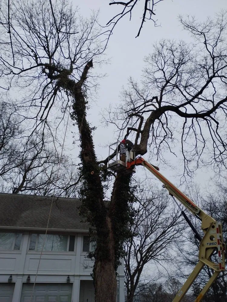 Custom yard cleanup service experts serving Oak Ridge, MO - Jones Landscaping and Power Washing